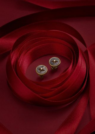 s.Oliver gelbvergoldet Silber-Ohrstecker mit Stern-Motiv - gold